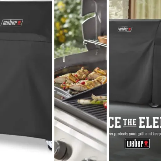Top Weber Genesis