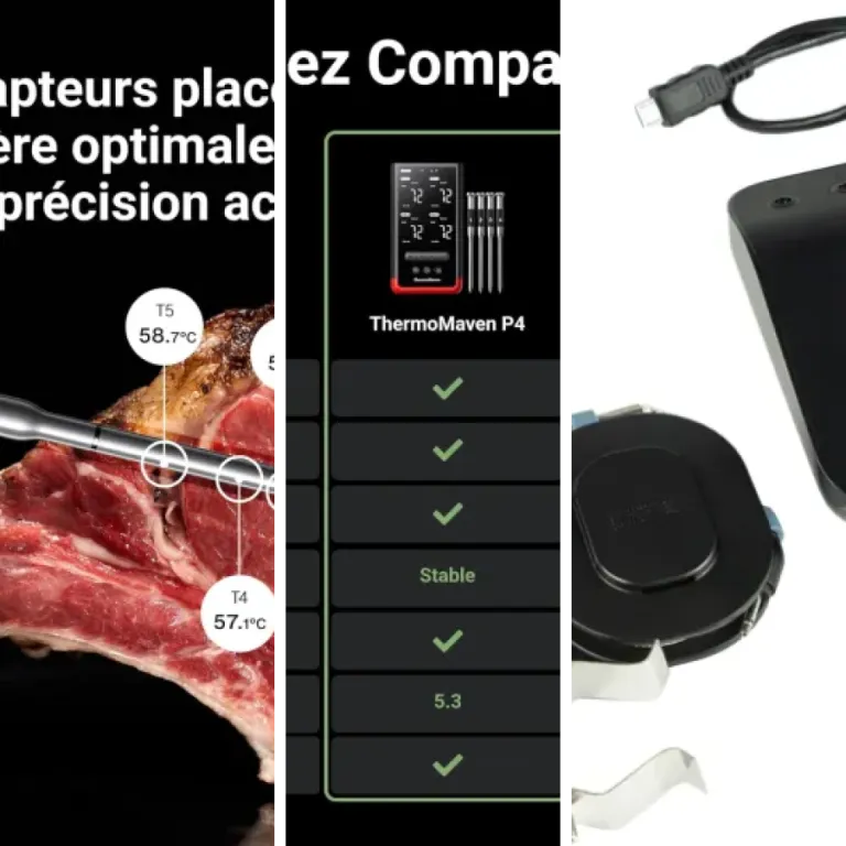 Quel sonde de cuisson sans fil choisir ? Top 5 (2026)